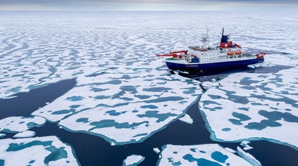 arctic