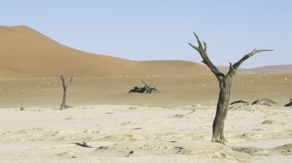 arid