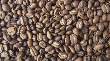 bean