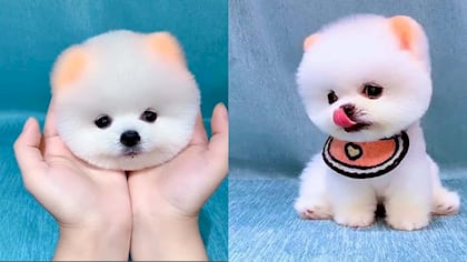 cute