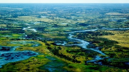 delta