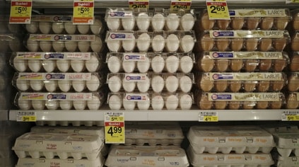 dozen
