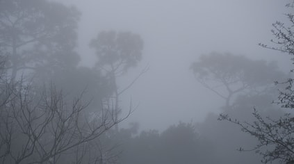 dreary