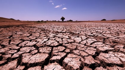 drought