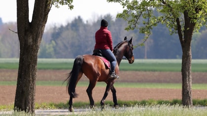 horse riding