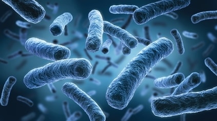 organism