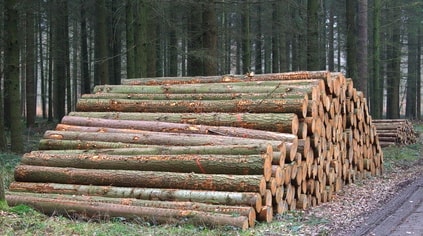 pile.jpg