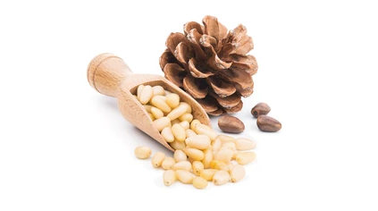 pine nut