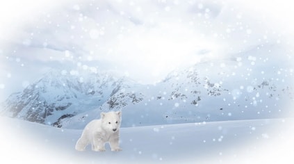 polar.jpg