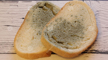 stale