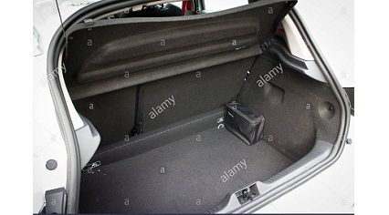 trunk